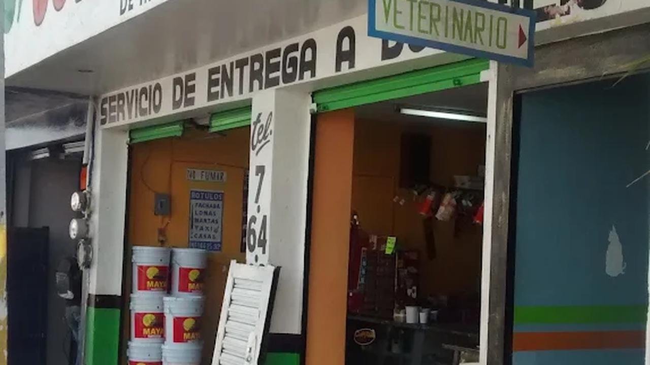 Color Plus de Irapuato